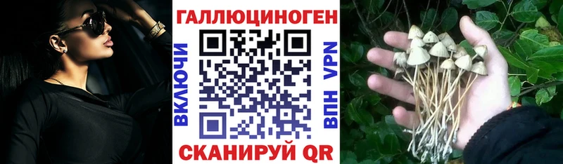 Галлюциногенные грибы мухоморы  Купить закладки  Верхняя Пышма 